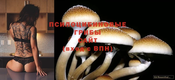 MDMA Абинск