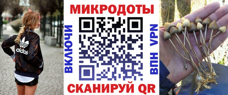 цены   Ахтырский  Галлюциногенные грибы ЛСД 